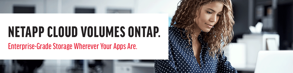 NetApp-ONTAP-Web-Banner NetApp-ONTAP-Web-Banner